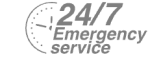 24/7 Emergency Service Pest Control in Stratford, West Ham, E15. Call Now! 020 8166 9746