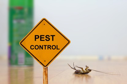 Pest Contol in Stratford, West Ham, E15. Call Now 020 8166 9746